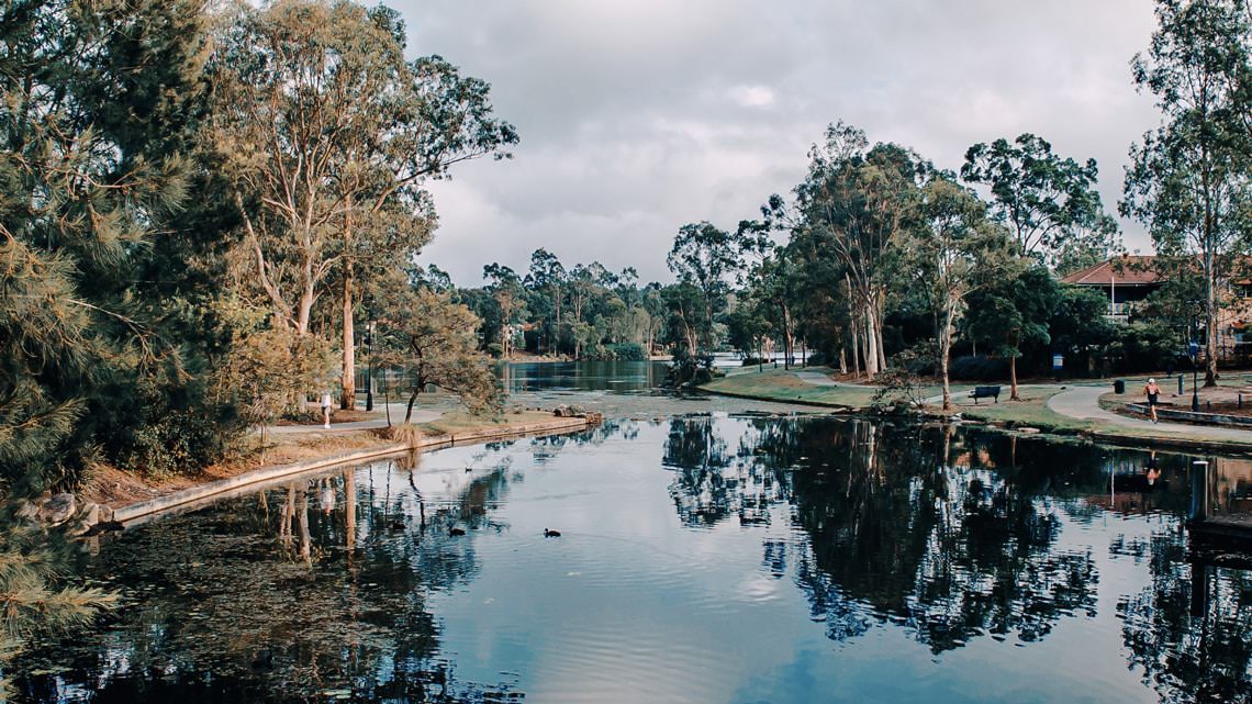 Graded with Aspen (image by Andrew Deme)